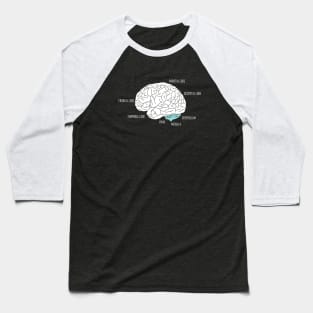 Human brain anatomic Baseball T-Shirt